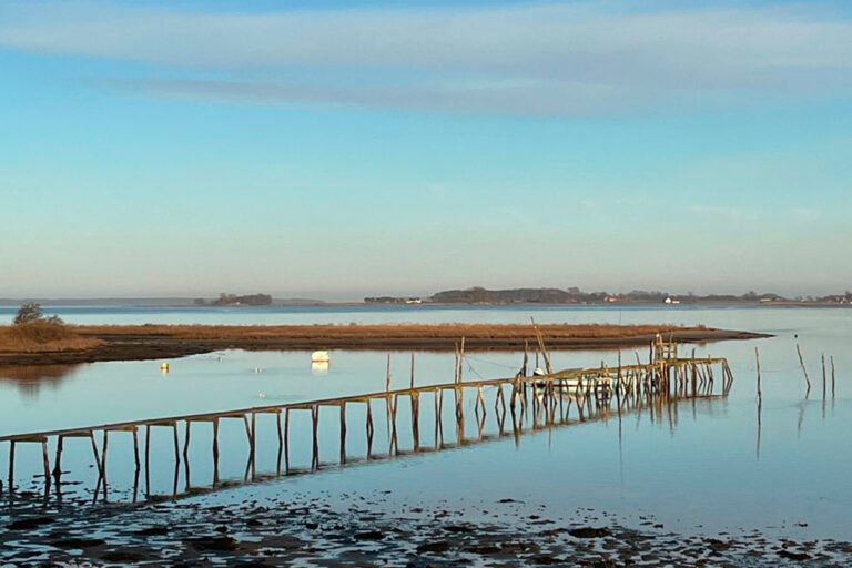 Ugens udvalgte uddelinger: Førstehjælp til lokalt havmiljø og forskning i klimaets tippingpoint