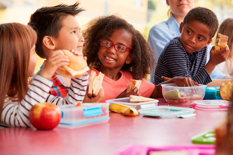 Fondsstøttet forskningsprojekt fortsætter trods rod i skolemadsprojekt